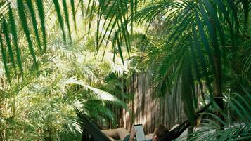 A hammock in a lush garden with palm trees and a gravel path.