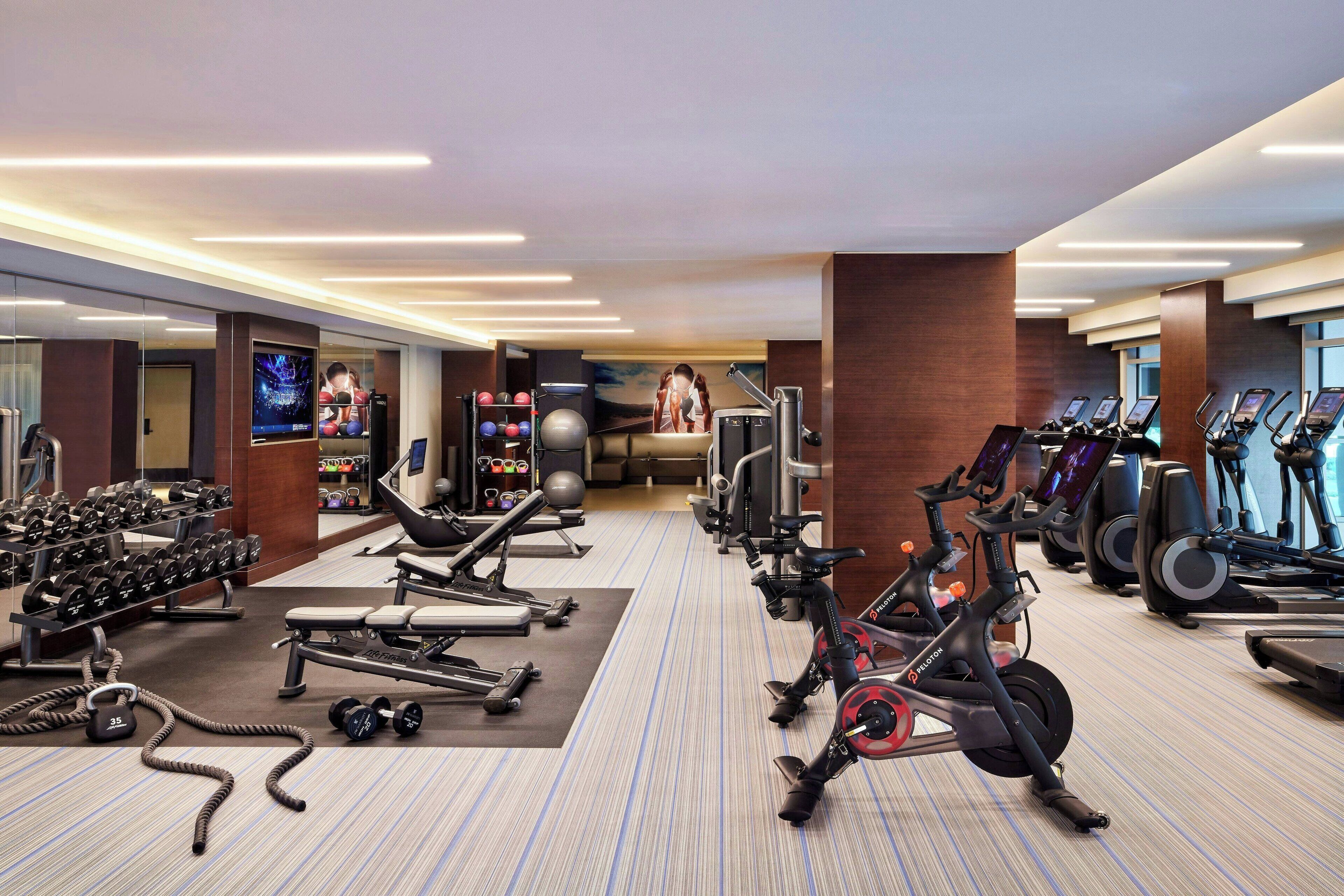 Un gimnasio moderno con diversos equipos, incluyendo mancuernas, bancos y cintas de correr.
