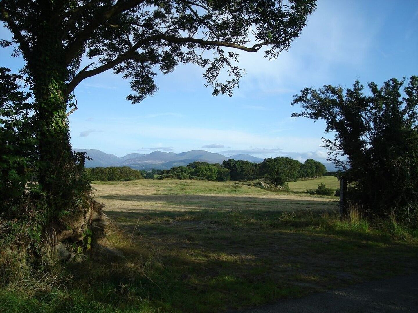 Ländliche Landschaft mit einem Feldweg, der durch ein Feld führt, umgeben von Bäumen und fernen Bergen.