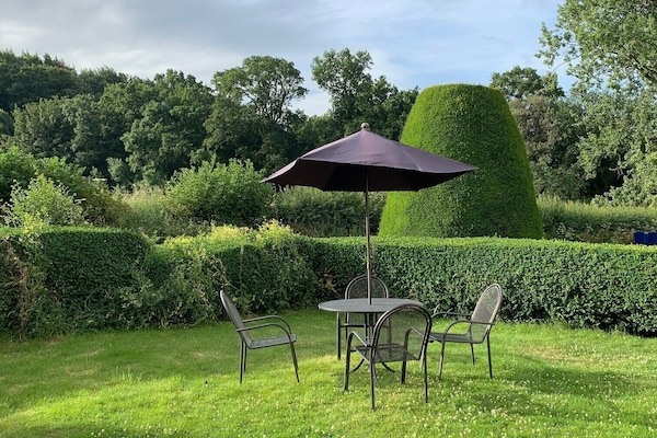 Back garden
