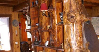 Charmant appartement dans chalet aux Carroz d'ArĂąches en Haute-Savoie