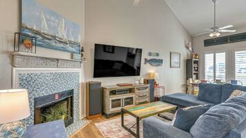 TV, Netflix, books, streaming services