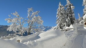 A snow-covered landscape with a clear sky, a snow-covered tree, and a snow-covered mountain in the background.