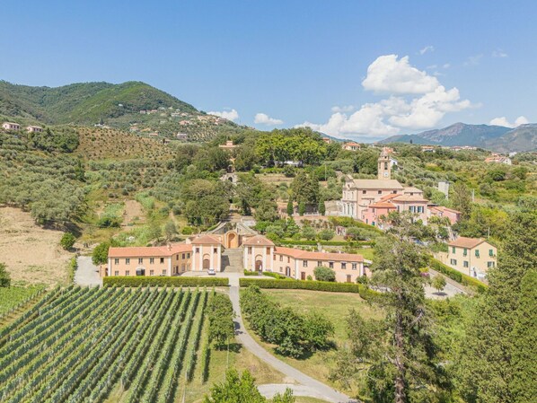 A hillside village with terraced vineyards, traditional buildings, and a prominent church with a clock tower.