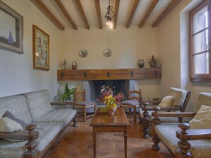 TV, fireplace