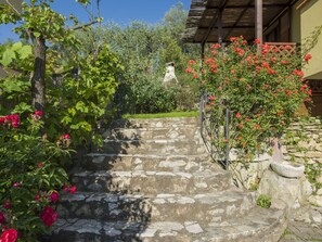 المنطقة المحيطة بالمنشأة