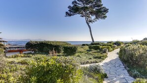 A stone pathway leading to a coastal area with a prominent tree and lush greenery.