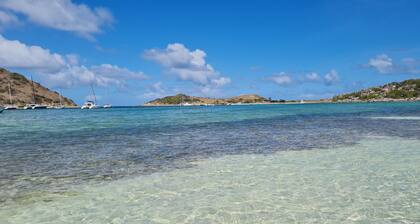 VILLA PINEL BAY VIEW - Sea and St Barth view villa with pool and sea access