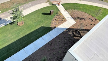 A landscaped area with a paved path, a small tree, and a fire hydrant.