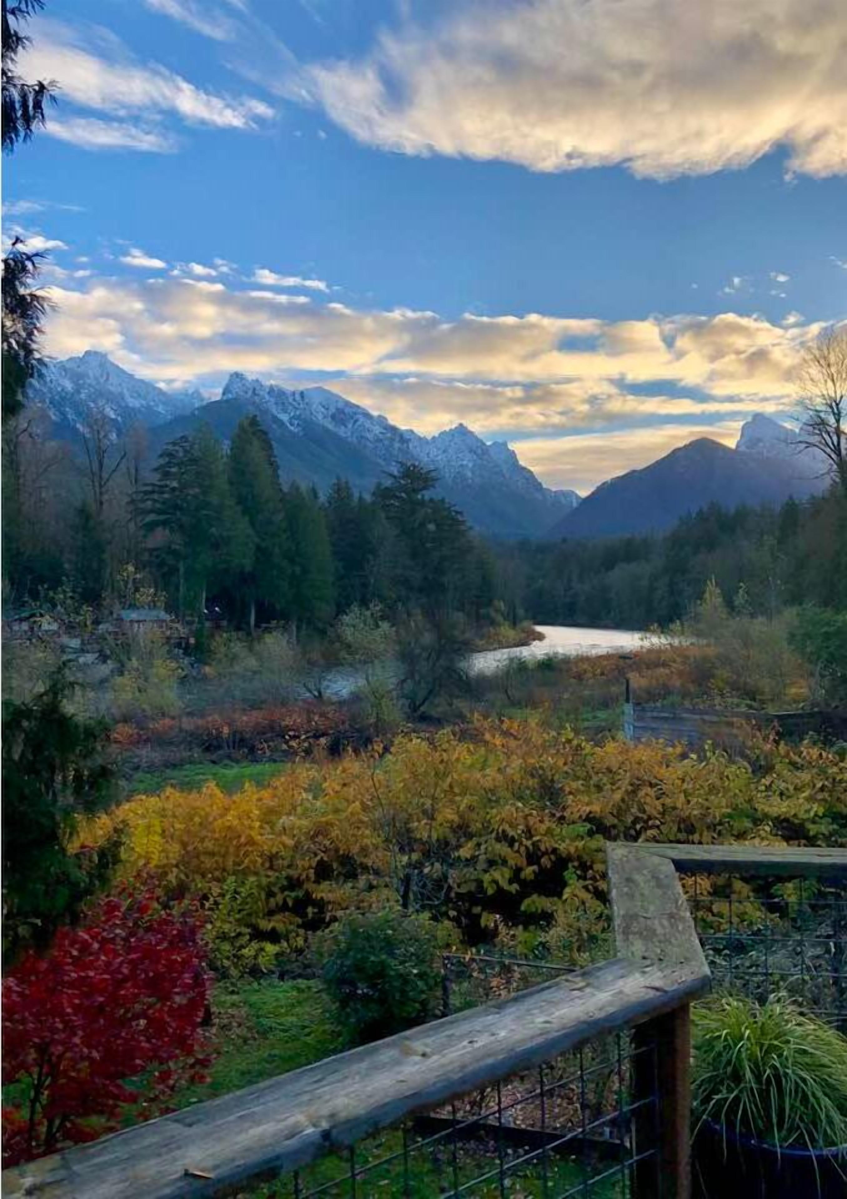 Vista desde la propiedad