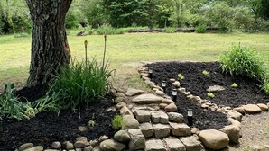 Un jardin aménagé avec un grand arbre, une bordure en pierre et diverses plantes.