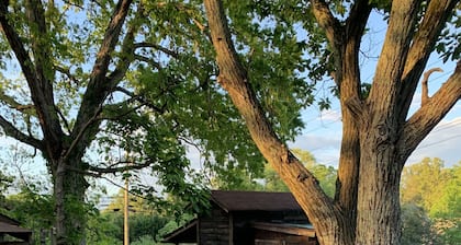 Cozy lake house in Soddy Daisy