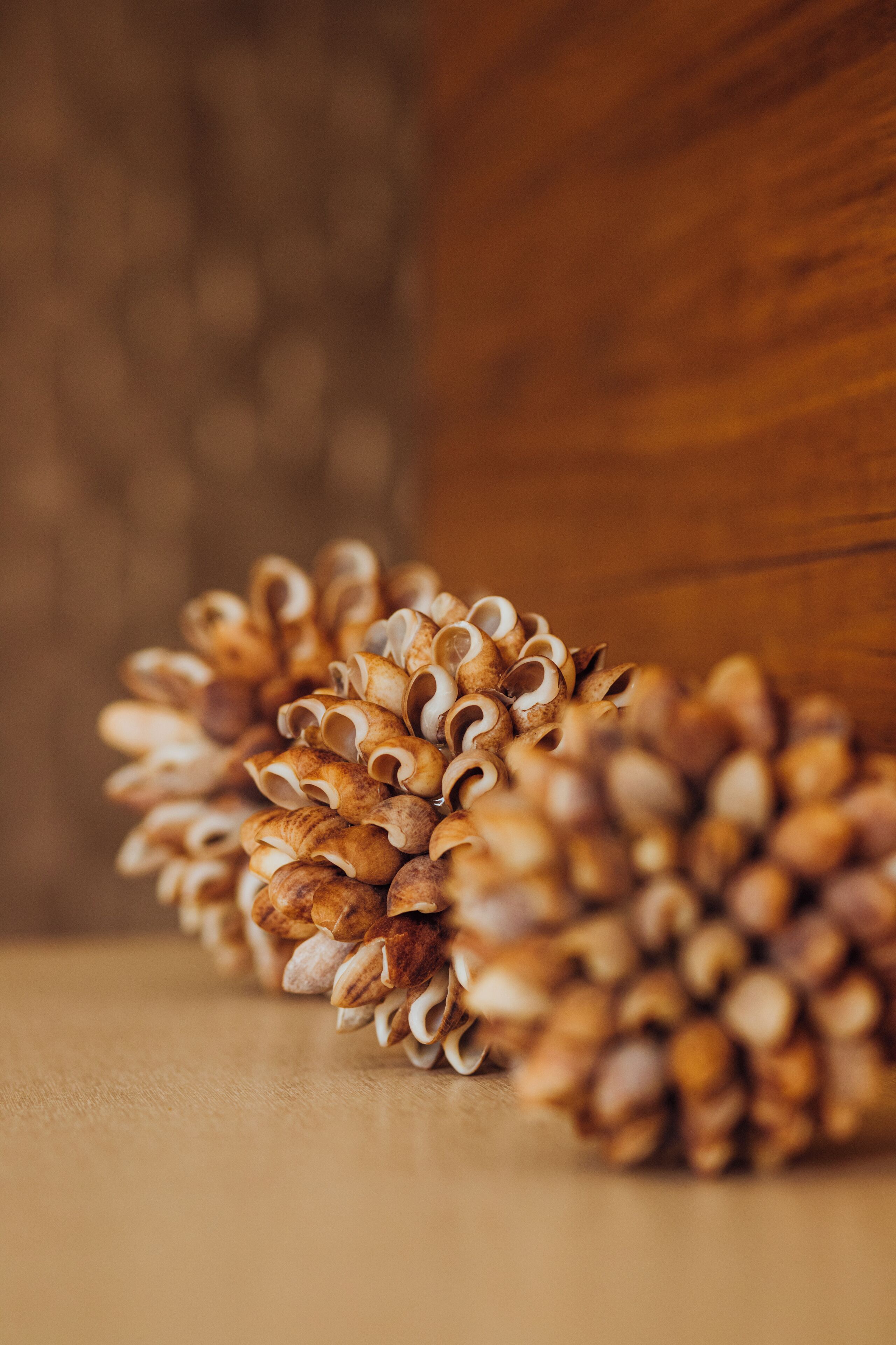 Photo - Pousada Mariluz