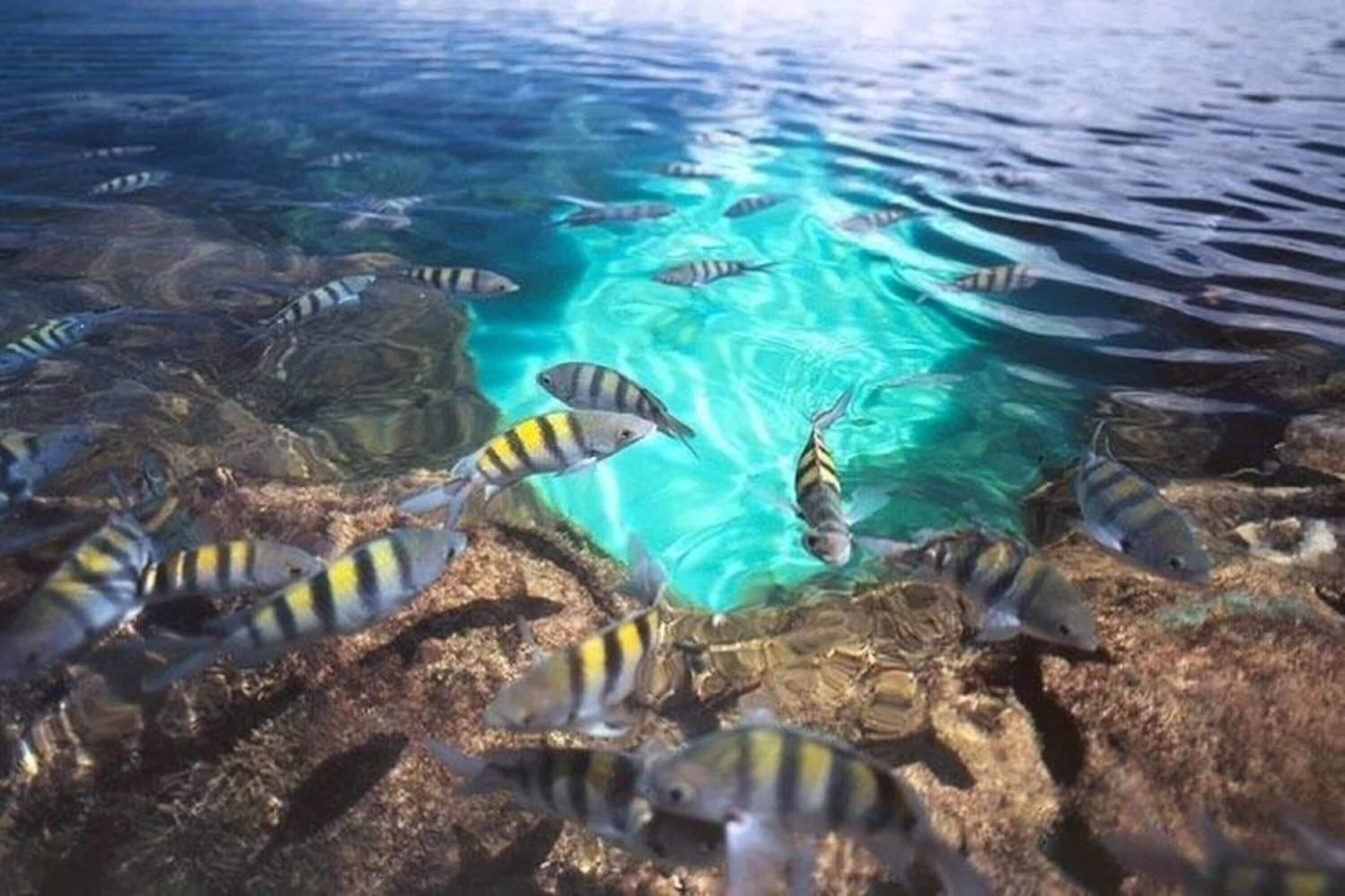 Photo - Pousada Mariluz