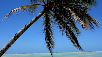 Ubicación a pie de playa y arena blanca