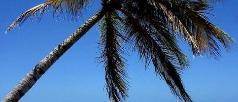 On the beach, white sand