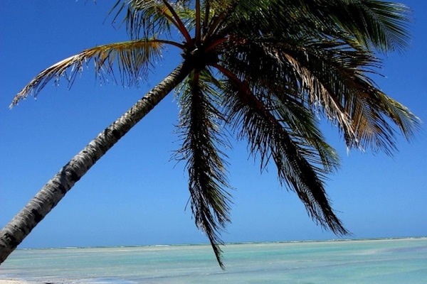 Na praia, areia branca