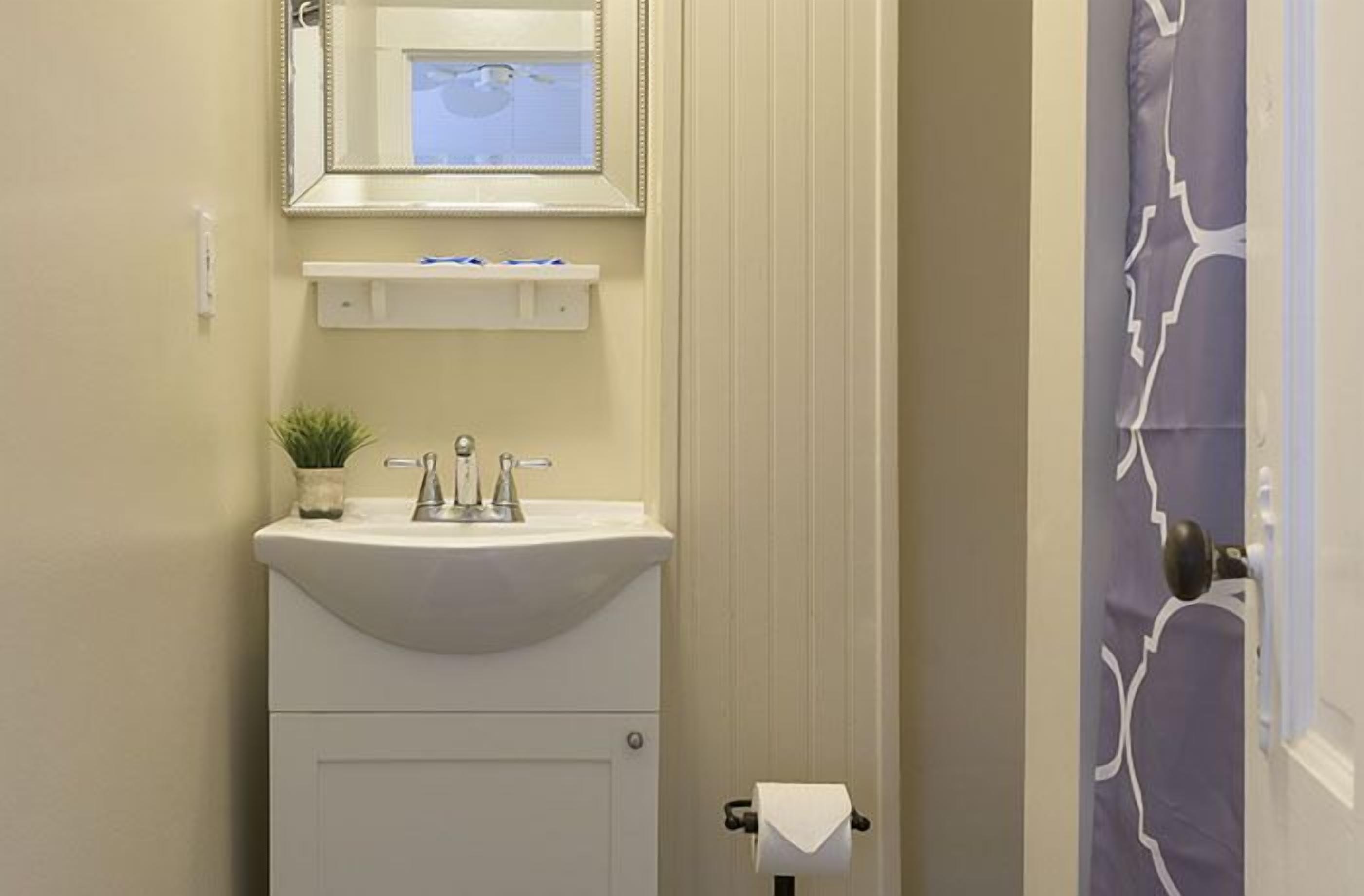A bathroom with a white sink, a mirror above it, a small plant on the sink, and a towel rack with a towel.