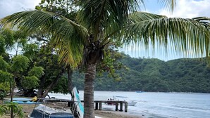 A beach with a palm tree, a dock, and boats. - Beautiful Costa Rican Villa in Gated Beach Resort (Playa Hermosa)