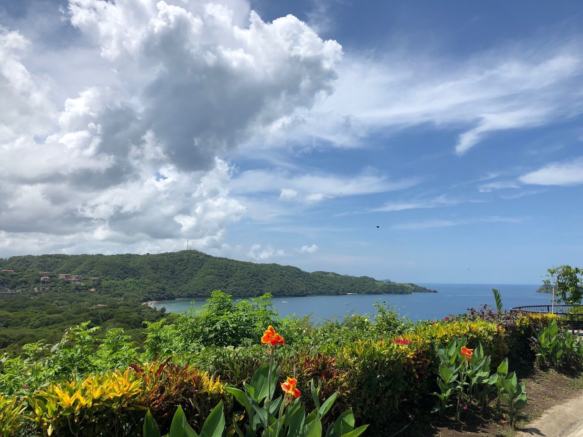 Un paysage côtier caractérisé par une végétation luxuriante, un ciel dégagé et une vue sur la mer.