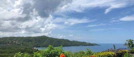 Un paysage côtier caractérisé par une végétation luxuriante, un ciel dégagé et une vue sur la mer.