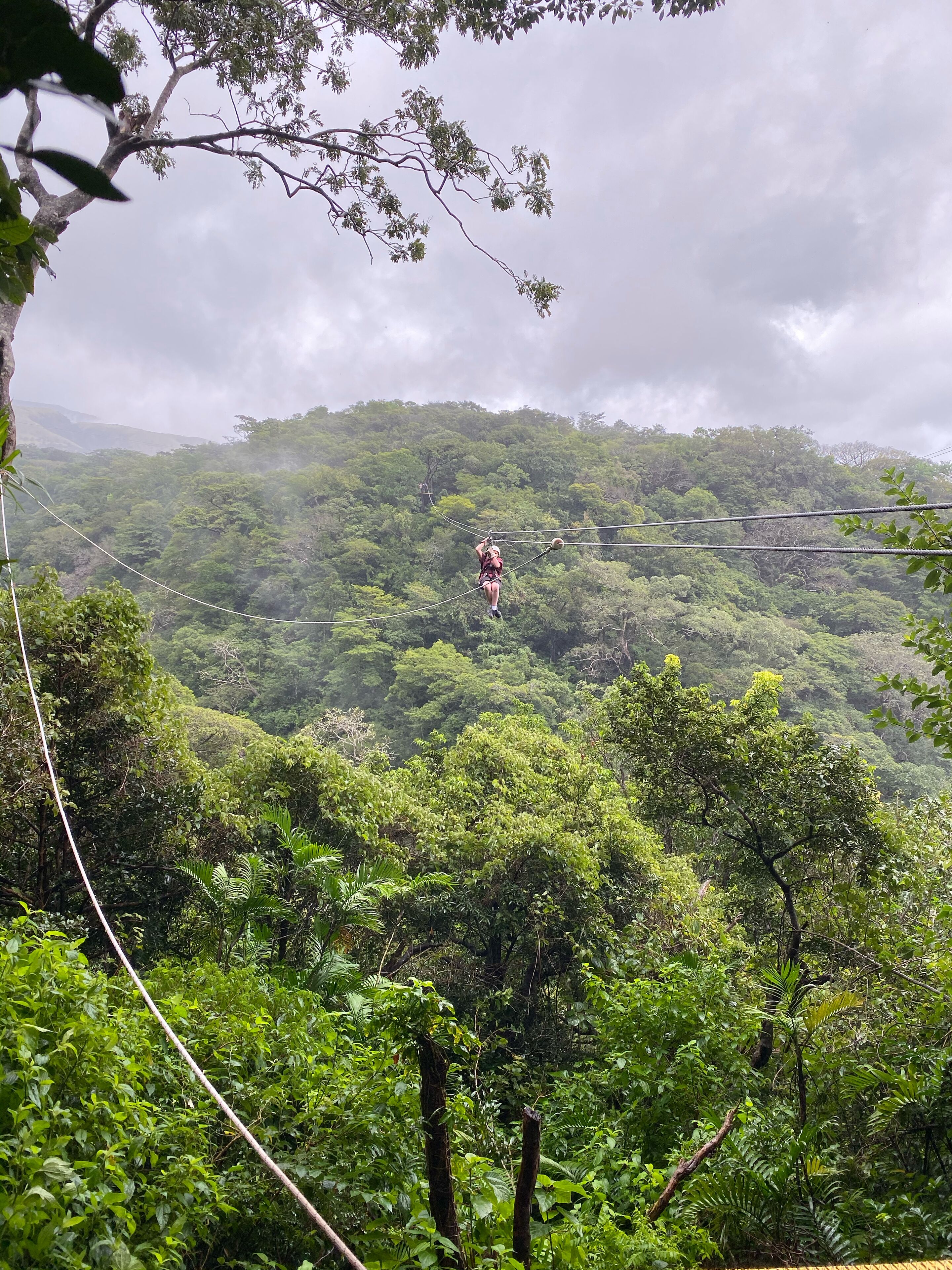 A person suspended on a zip line over a dense forest.