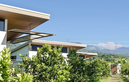 Basic Double or Twin Room | Mountain view