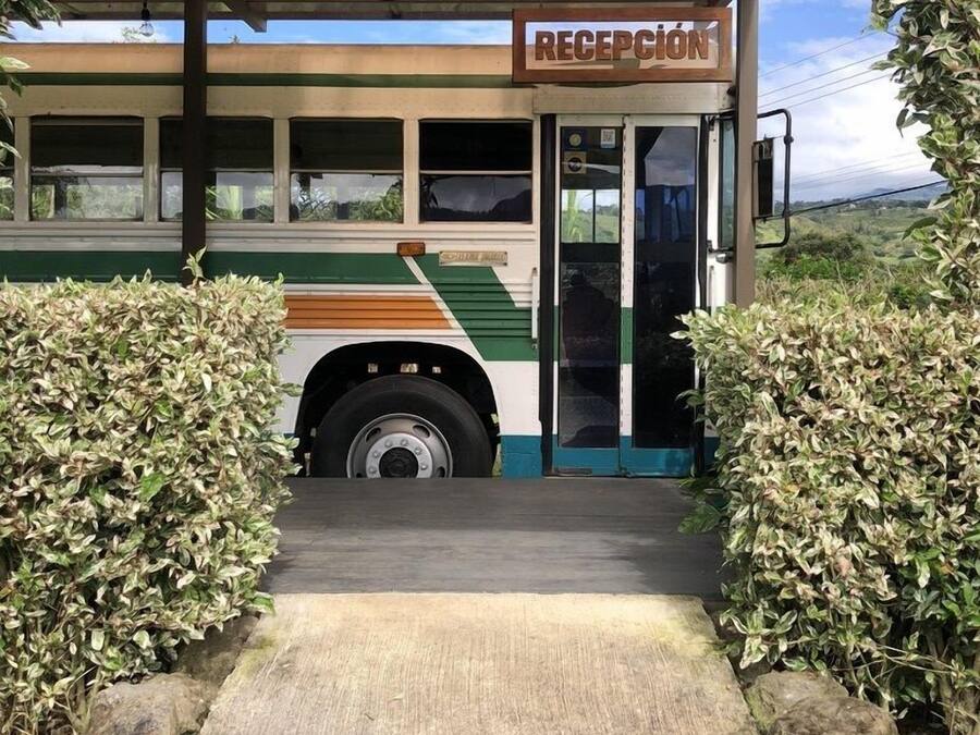 Un autobus doté d’un espace d’accueil, entouré de verdure et agrémenté d’une allée couverte.