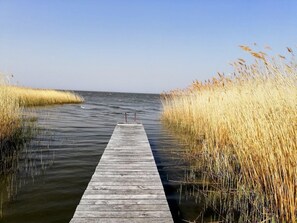 Unclassified image, 4 of 20, button