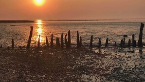 A sunset over a beach with wooden posts in the foreground. - Vacation home Ambiente, Germany (Wittmund)