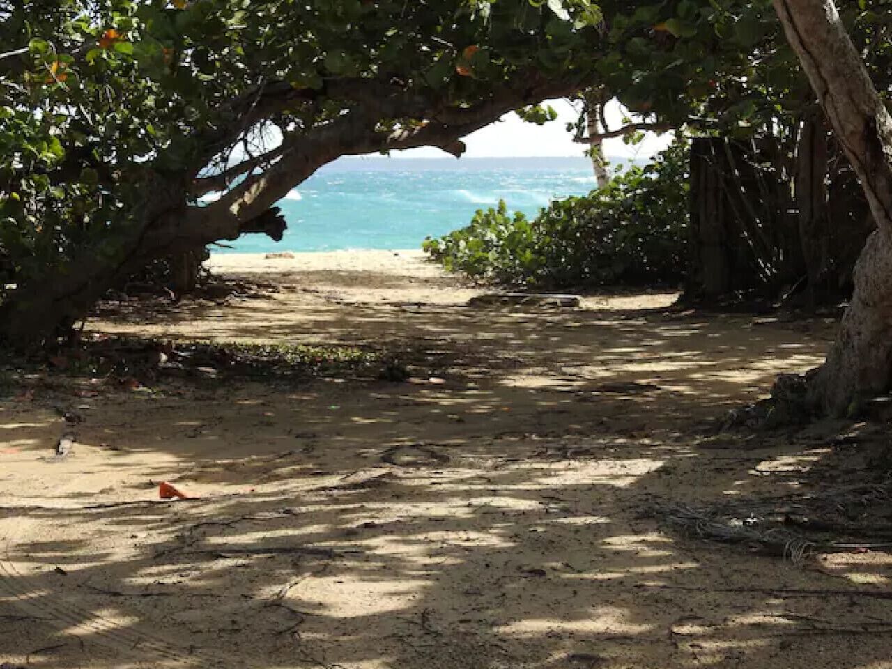 Playa en los alrededores 