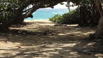 Playa en los alrededores