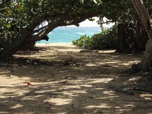 Beach nearby