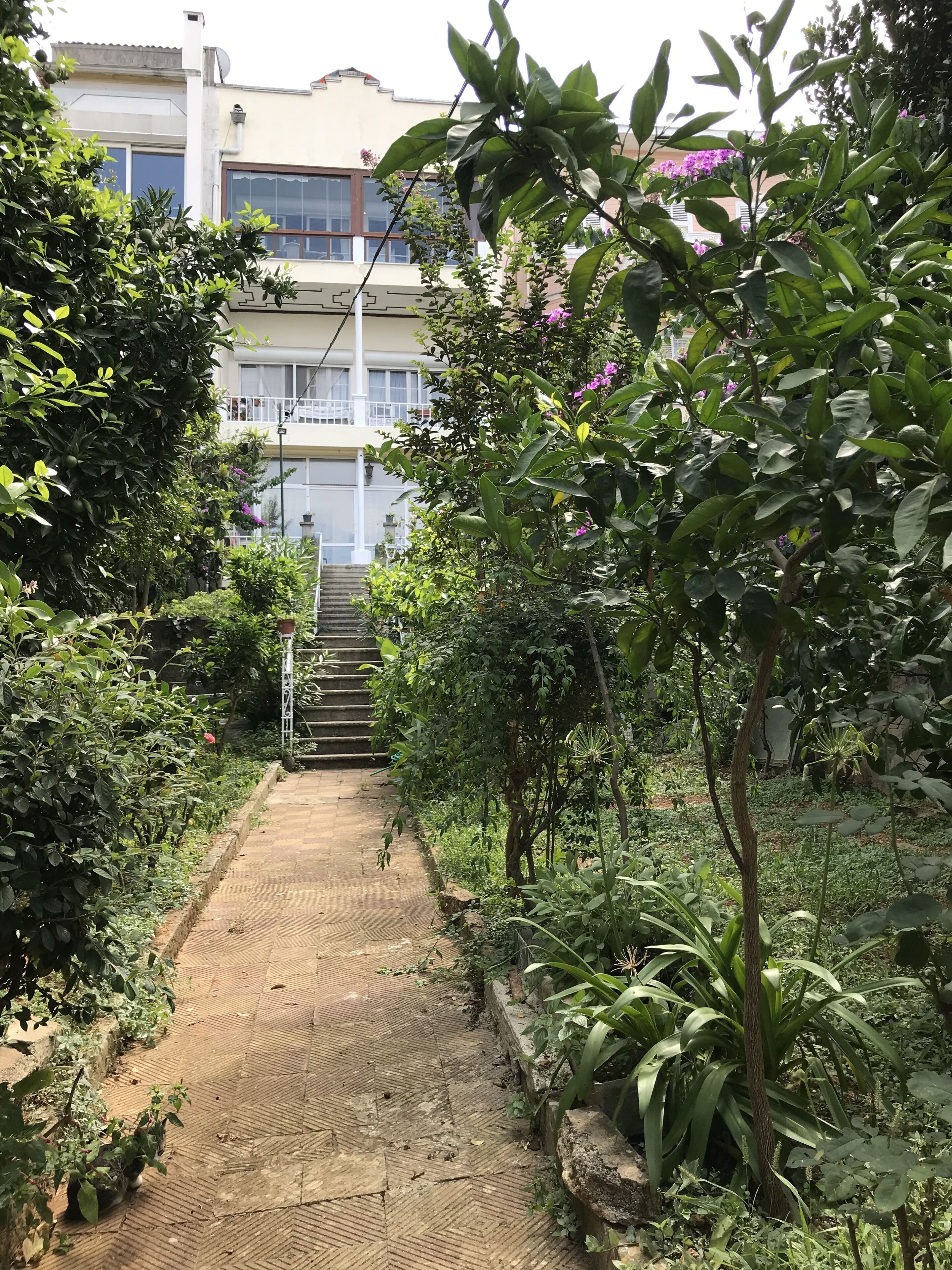 family apartment, 2 bedrooms, garden view, garden area | garden