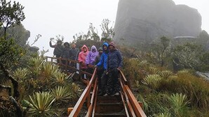 Un grupo de personas en una escalera de madera en un entorno natural con grandes formaciones rocosas y cactus.