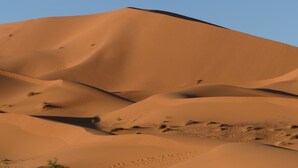 A desert landscape with sand dunes. - Dar Marhaba (Taouz)