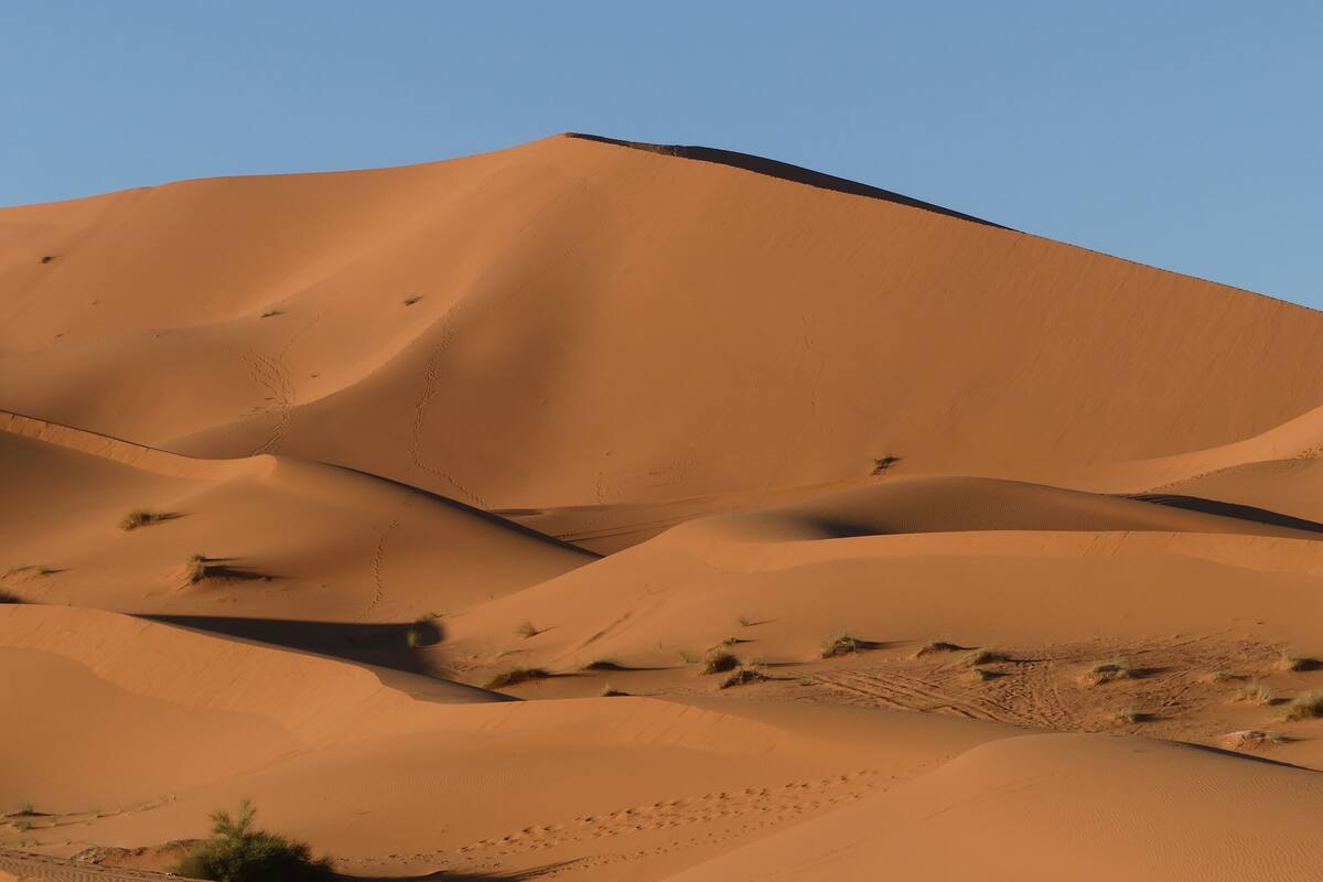 A desert landscape with sand dunes.