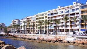 A coastal hotel with multiple balconies, palm trees, and a rocky shoreline.