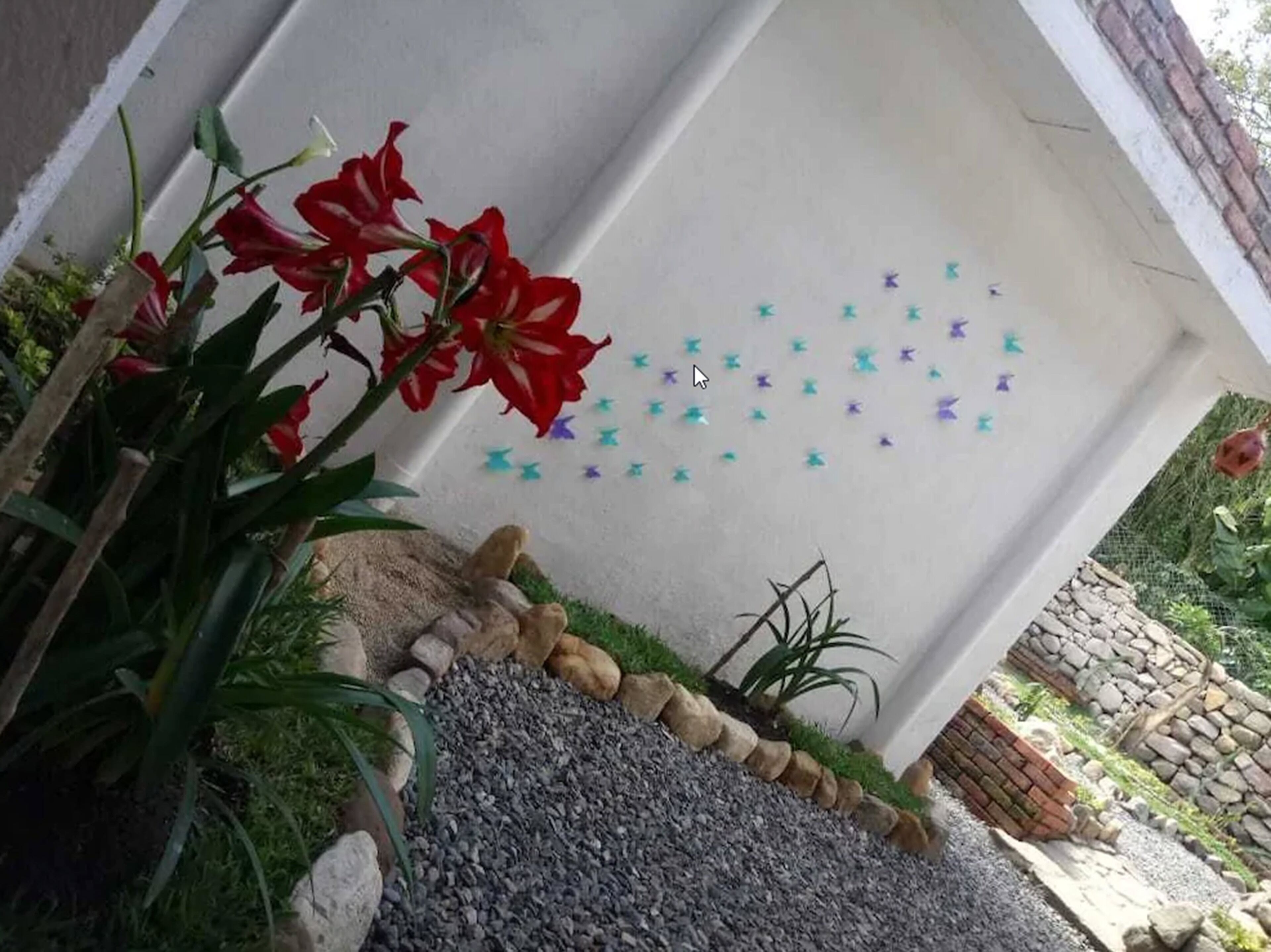 Un jardín con pared blanca, flores rojas y pegatinas decorativas en forma de estrella.