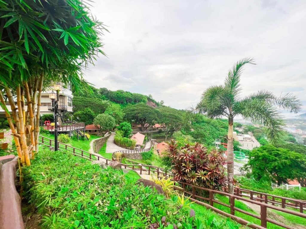 Un jardín exuberante con un sendero de madera, plantas de bambú y una gran variedad de follaje.