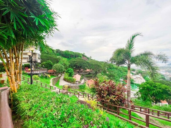 A lush garden with a wooden walkway, bamboo plants, and a variety of greenery.