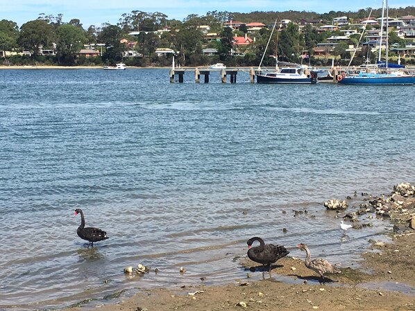 Beach nearby, fishing
