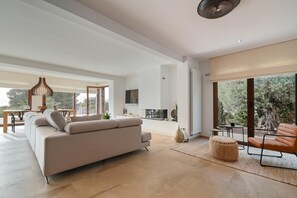 TV, fireplace, stereo