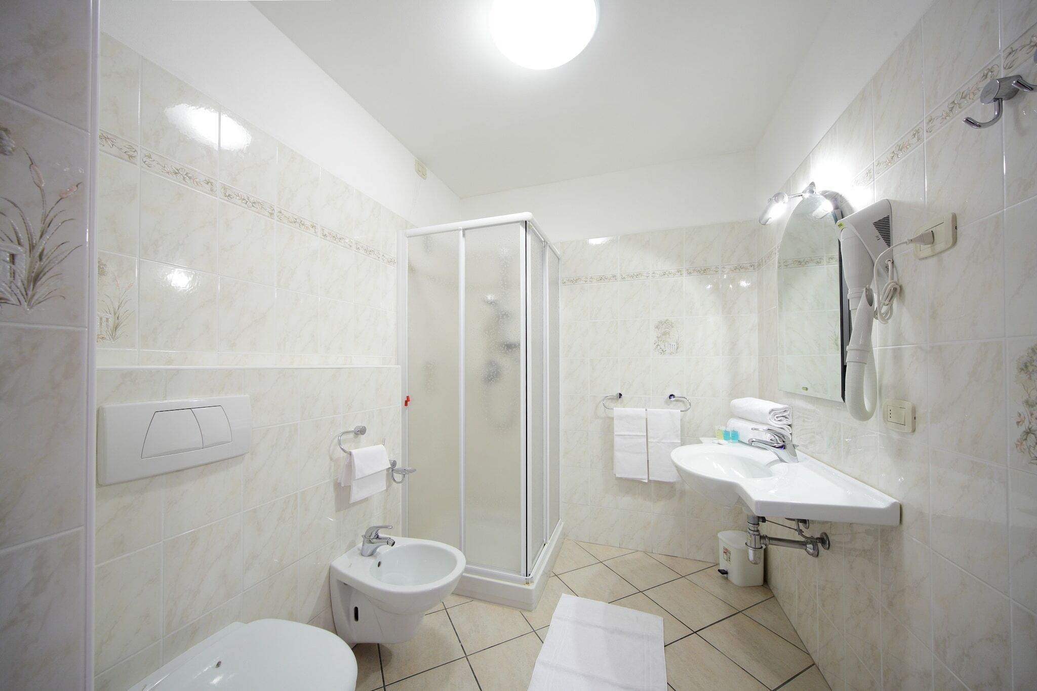 Shower, hair dryer, bidet, towels