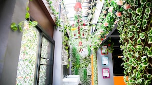 A narrow corridor with walls covered in climbing plants and hanging decorations, including birdcages and red lanterns. - Bangkok Canale Home (Bangkok)