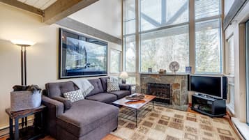 TV connectée, cheminée, livres