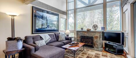 Smart TV, fireplace, books