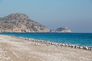 On the beach, beach umbrellas, beach volleyball, 2 beach bars - House of Paradise in front of the golf court-sea (Rhodes)