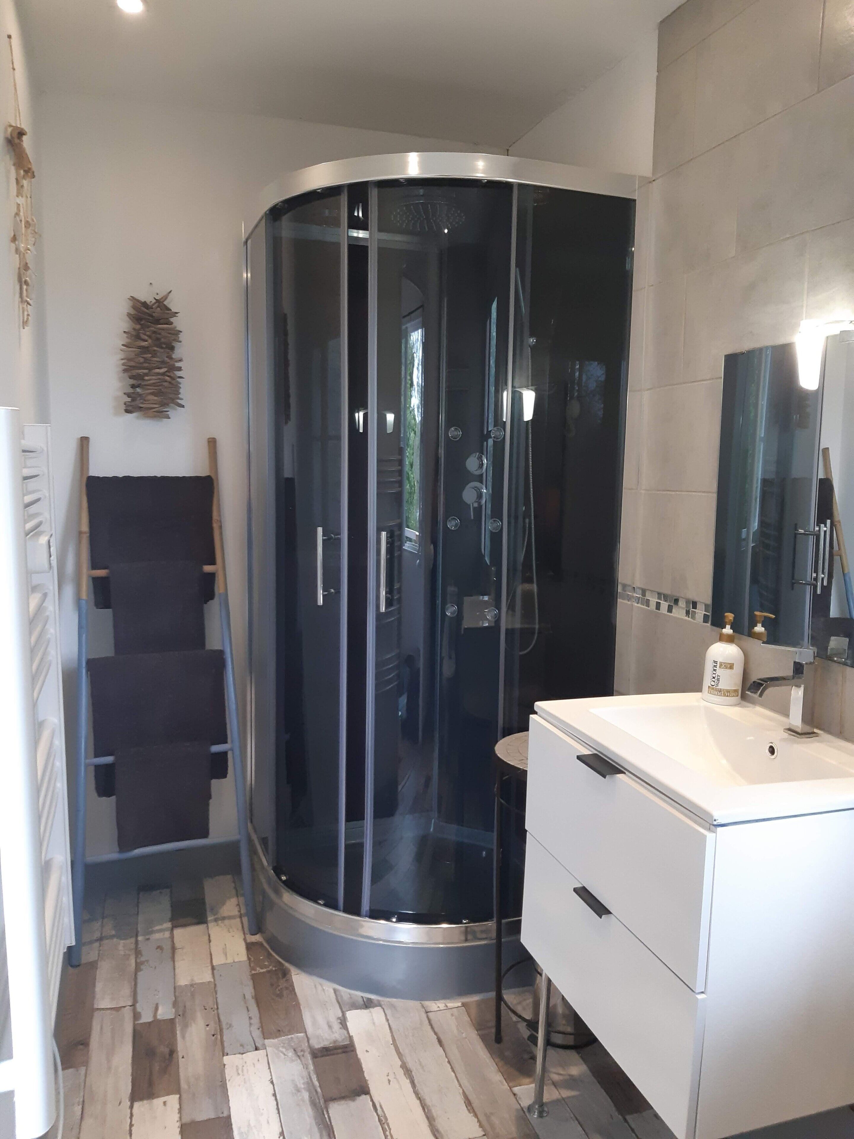 Shower, hair dryer, towels, toilet paper