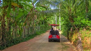 A dirt path flanked by dense tropical vegetation, leading to a red vehicle. - Valley Sen Bungalow (Phu Quoc)